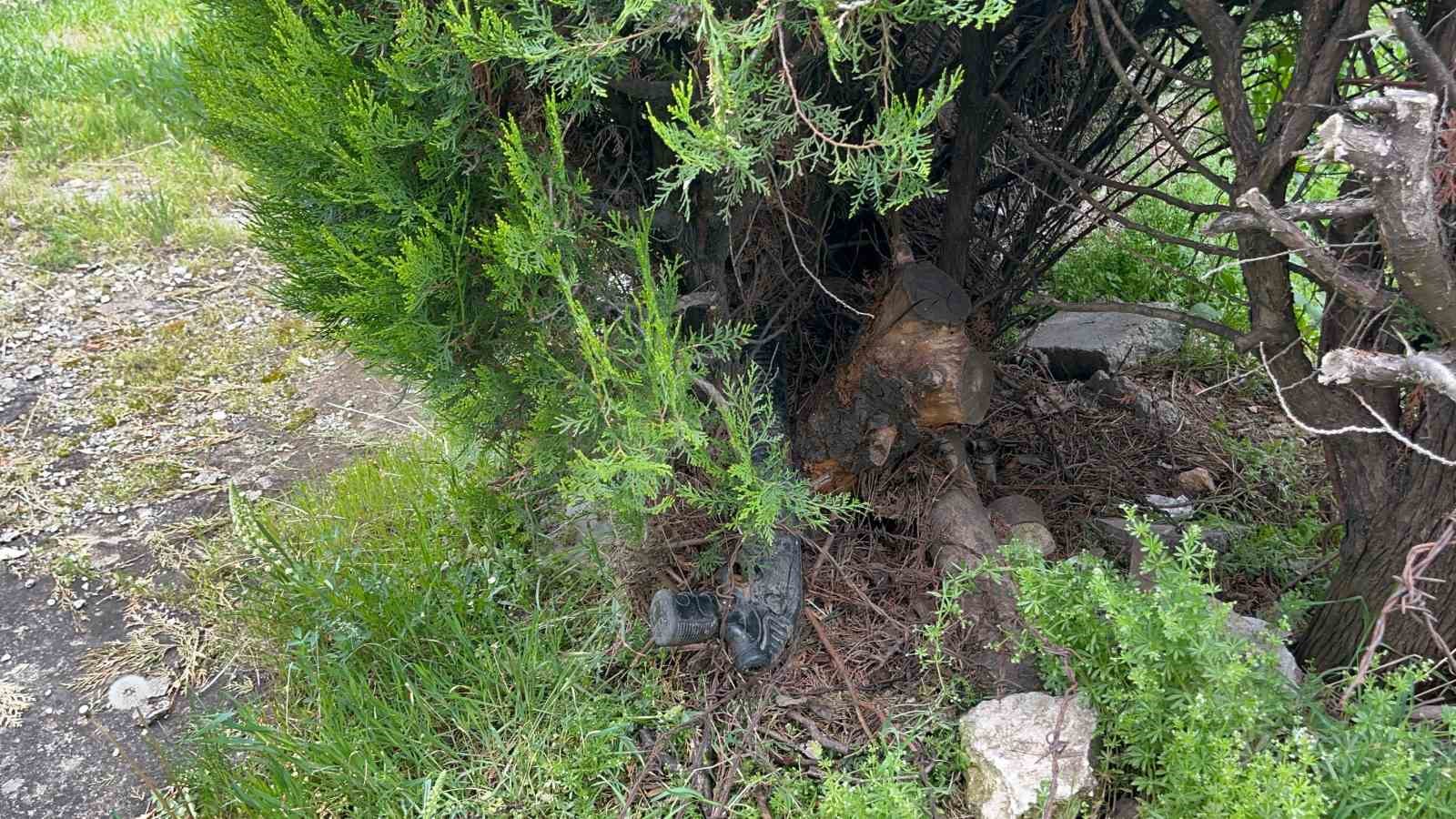 Çalılar budanınca ortaya çıkan pompalı tüfeği polis muhafaza altına aldı