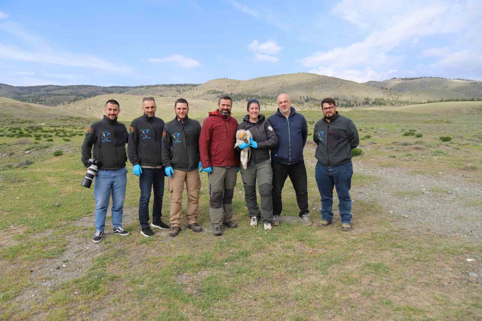 Akbaba Midas 101 bin kilometre uçtu