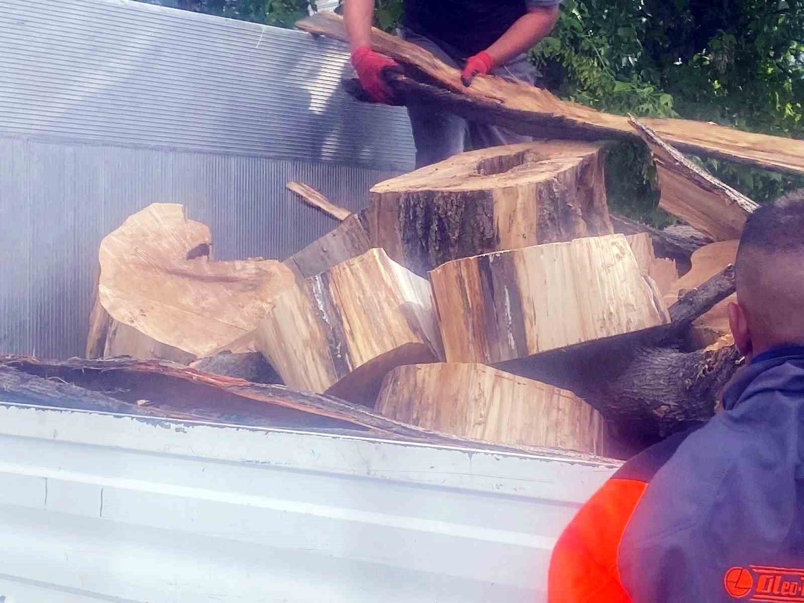 Başkan Vural’dan Hamamyolu’ndaki ağaç kesimine tepki